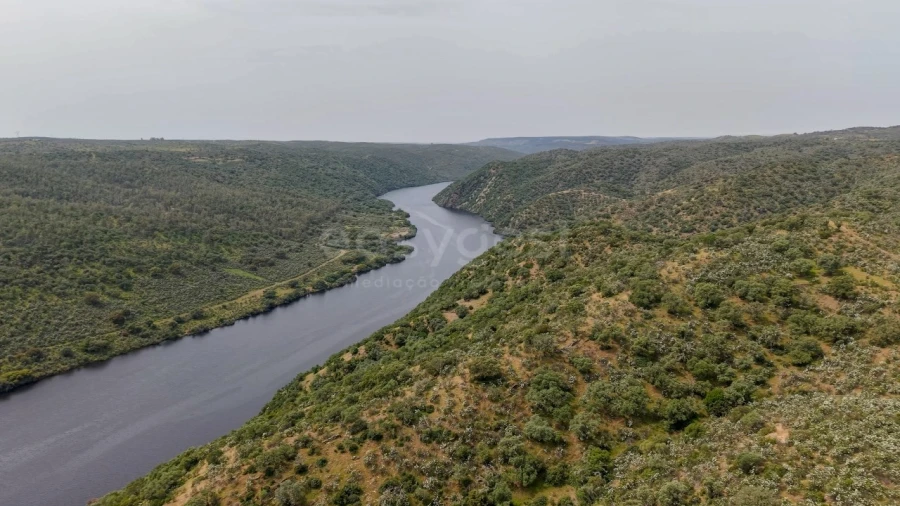 Terreno Agricola ou Rústico para Venda em Rosmaninhal Foto 2