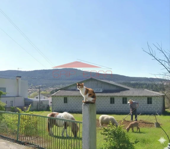 Prédio para Venda em Bornes de Aguiar Foto 3