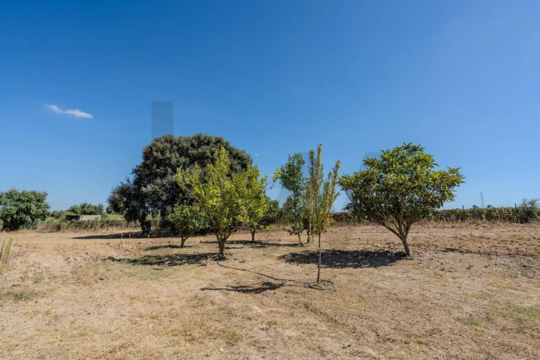 Moradia T2 para Venda em Palmela Foto 35