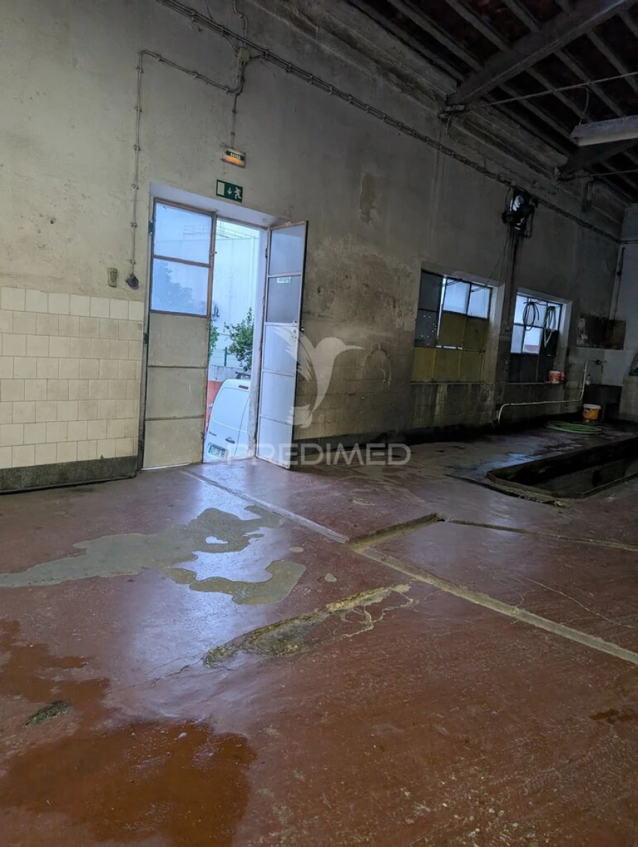 Armazém para Venda em Mora Foto 1