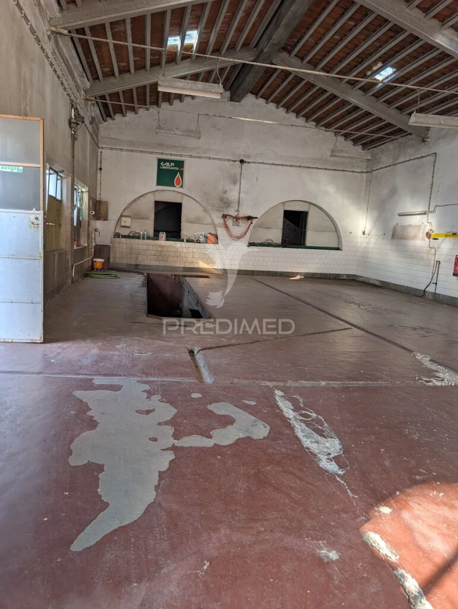 Armazém para Venda em Mora Foto 7