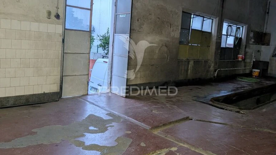 Armazém para Venda em Mora