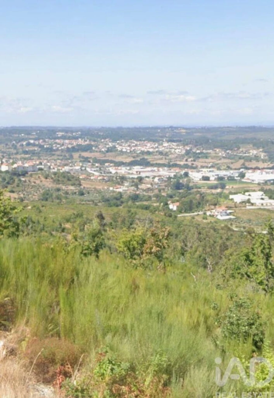 Terreno para Venda em Seia, São Romão e Lapa dos Dinheiros Foto 1