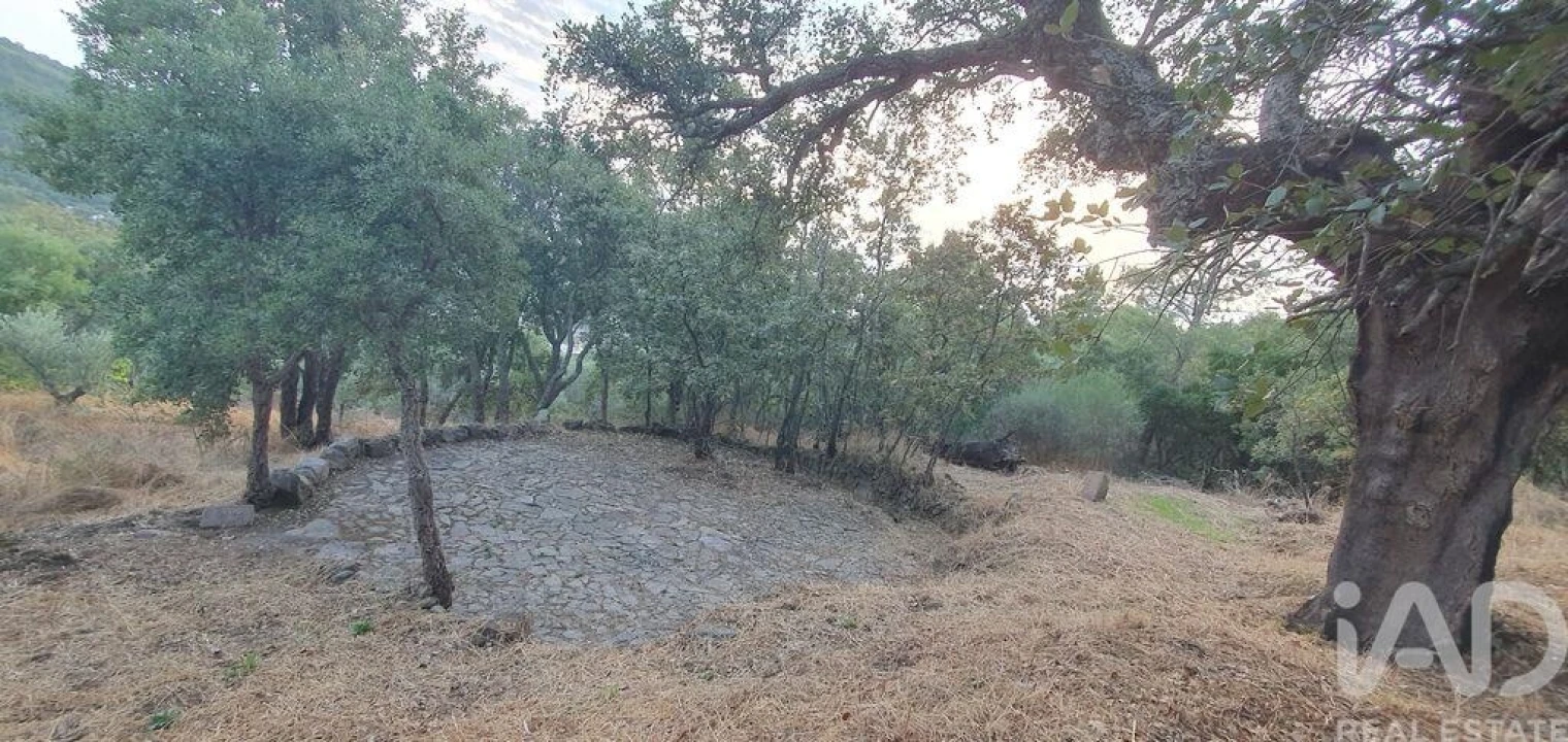 Quinta T2 para Venda em Reguengo e São Julião Foto 32