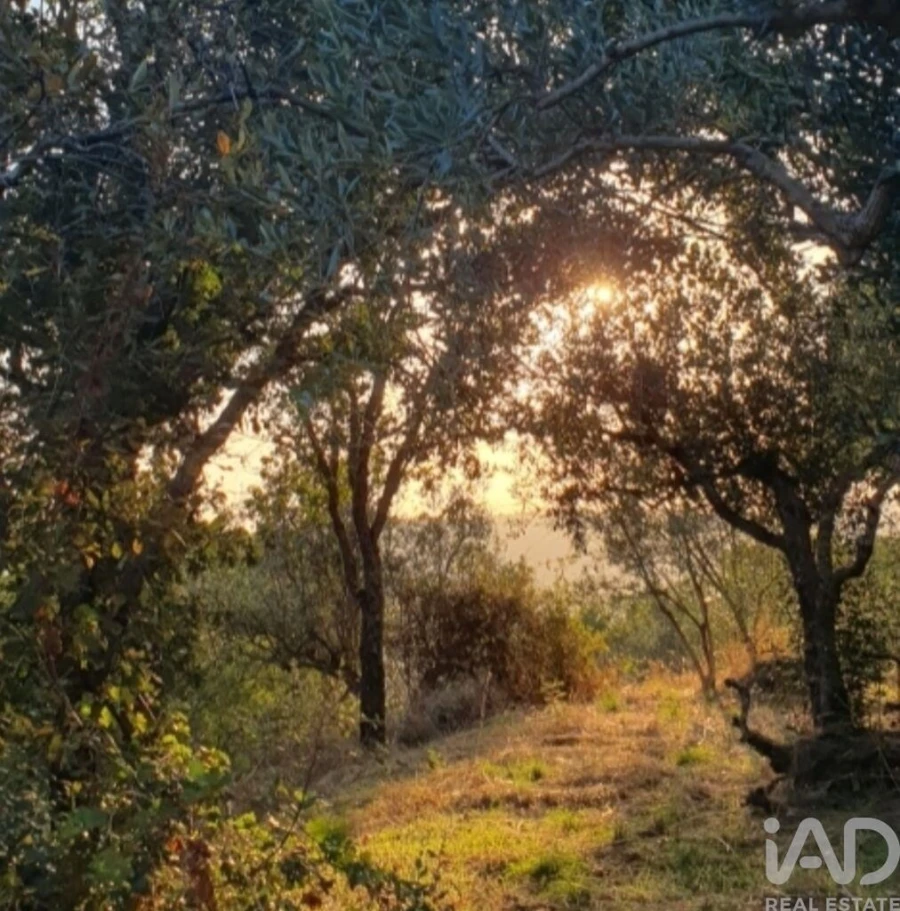 Quinta T2 para Venda em Reguengo e São Julião Foto 31