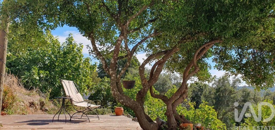 Quinta T2 para Venda em Reguengo e São Julião Foto 3