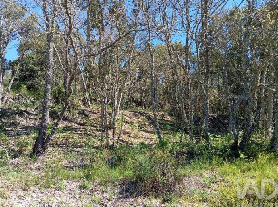 Quinta T3 para Venda em Reguengo e São Julião Foto 37