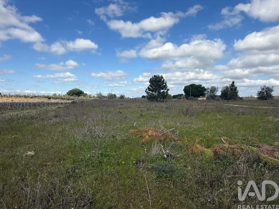 Terreno para Venda em Palmela Foto 13