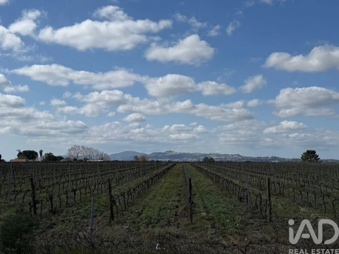 Terreno para Venda em Palmela Foto 10