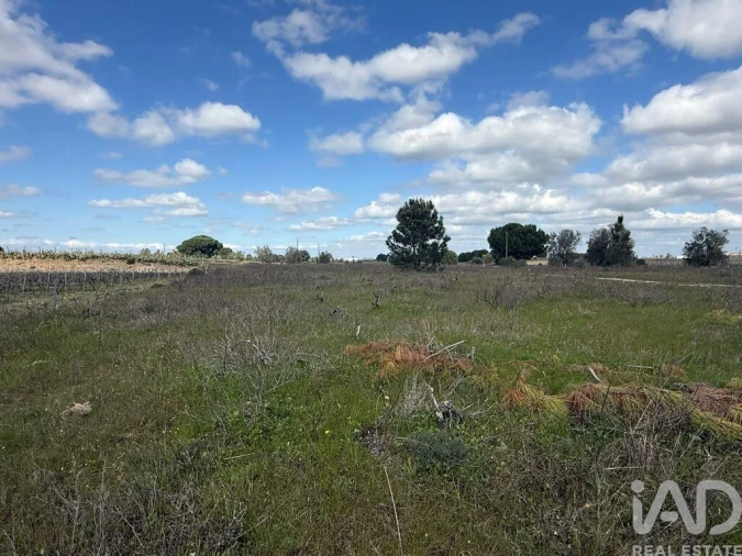 Terreno para Venda em Palmela Foto 13
