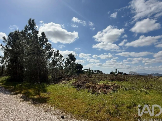 Terreno para Venda em Palmela Foto 4