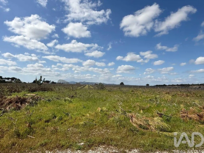 Terreno para Venda em Palmela Foto 5