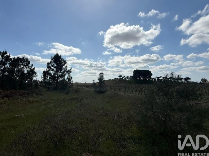 Terreno para Venda em Palmela Foto 11