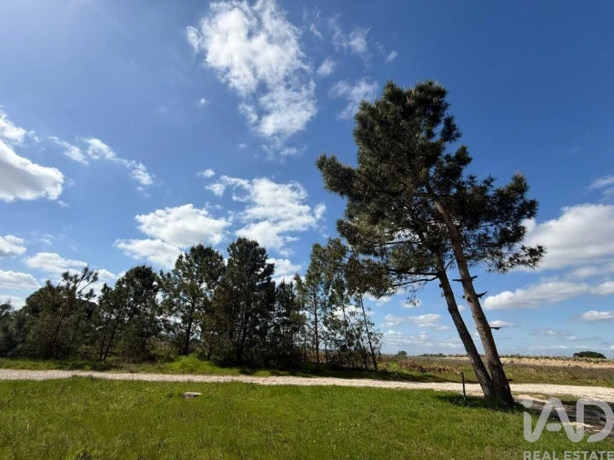 Terreno para Venda em Palmela Foto 2