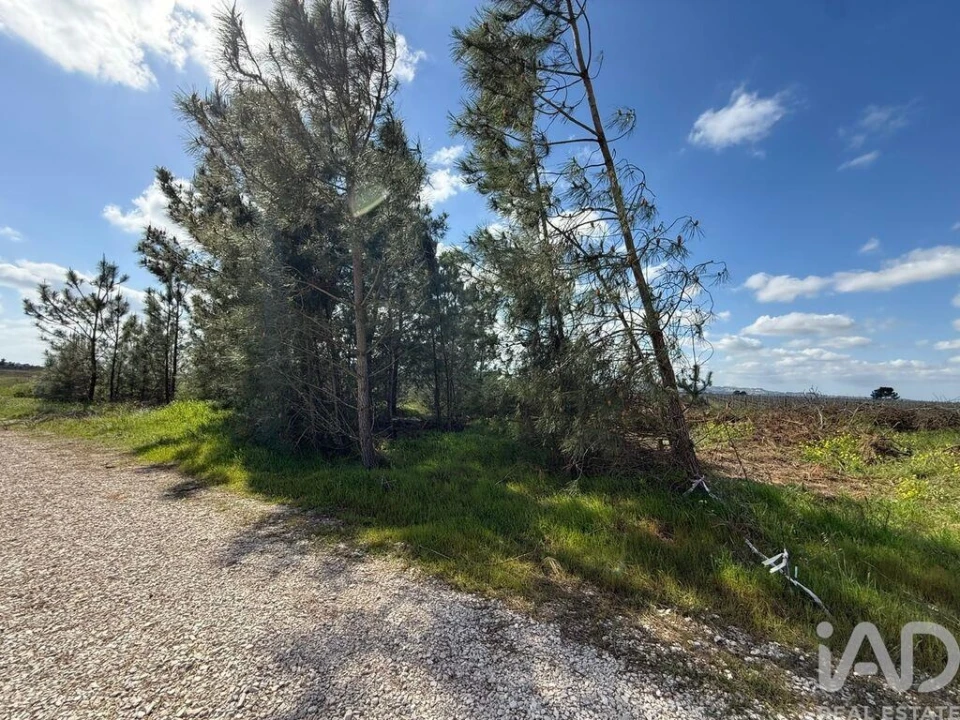 Terreno para Venda em Palmela Foto 15