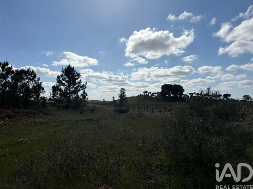 Terreno para Venda em Palmela Foto 11