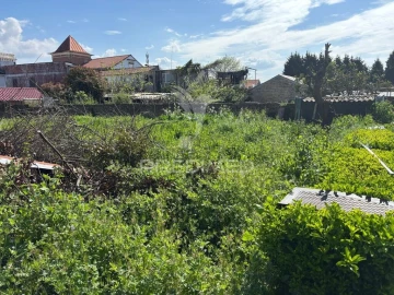 Terreno para Venda em Cacia