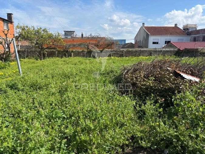 Terreno para Venda em Cacia Foto 5