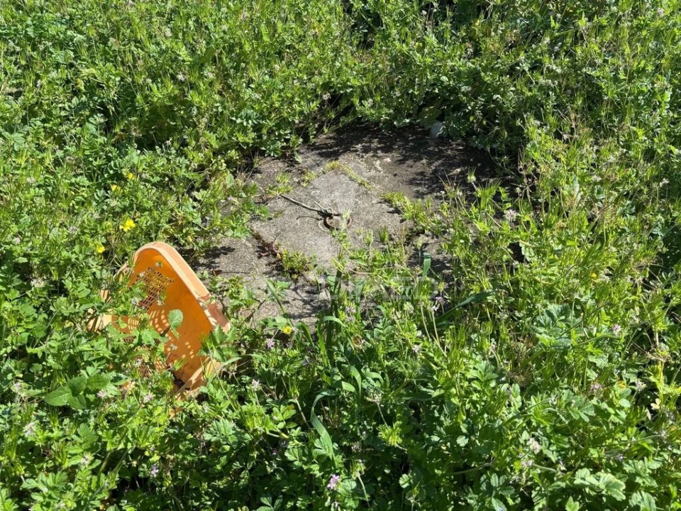 Terreno para Venda em Cacia Foto 2