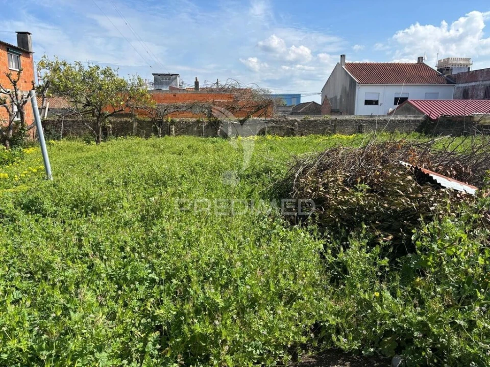 Terreno para Venda em Cacia Foto 5
