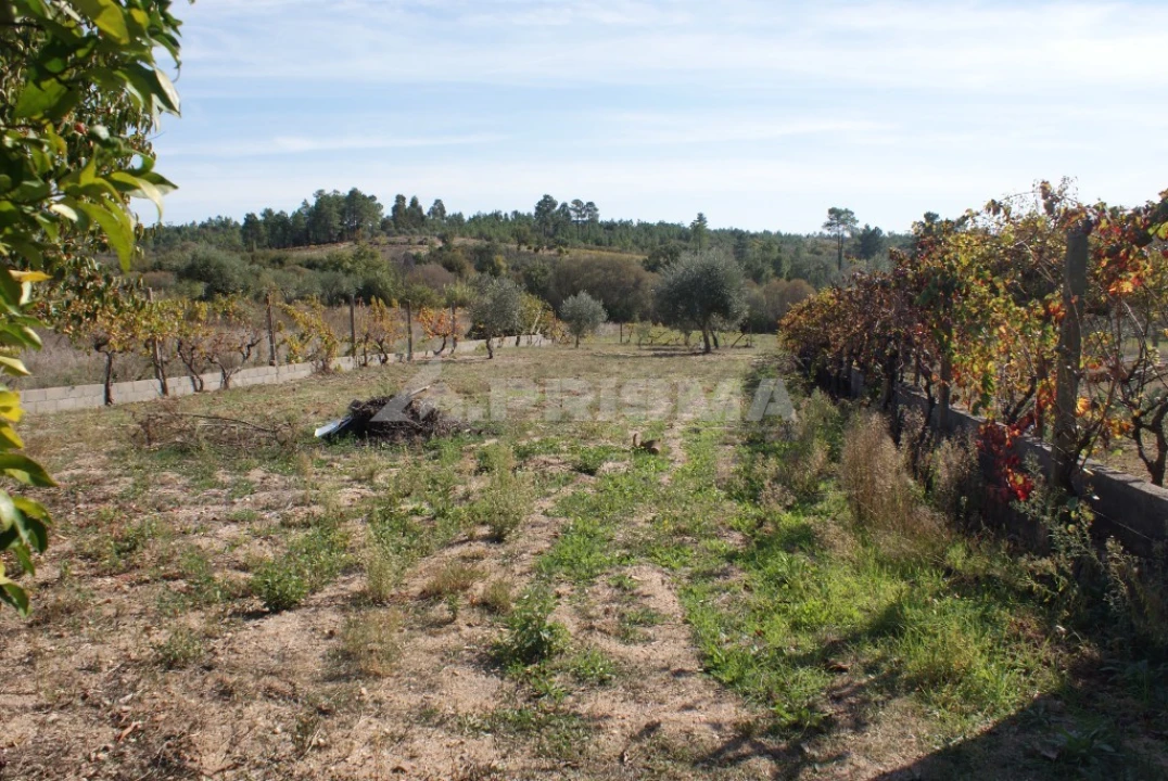 Moradia T3 para Venda em Sarzedas Foto 20