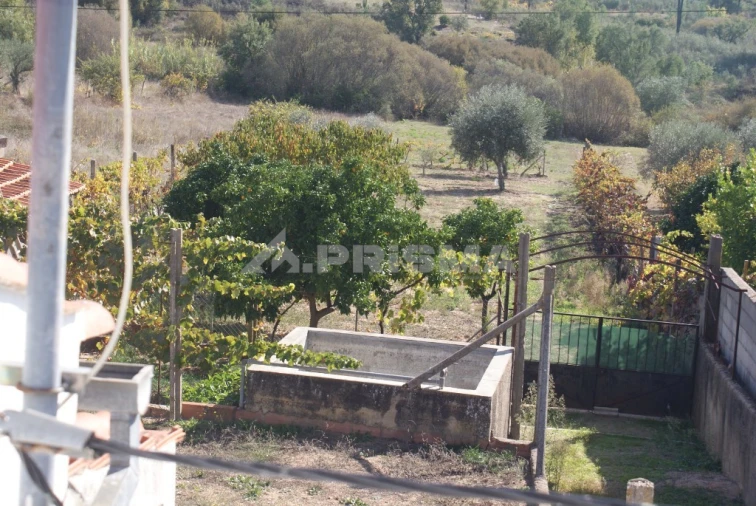 Moradia T3 para Venda em Sarzedas Foto 18