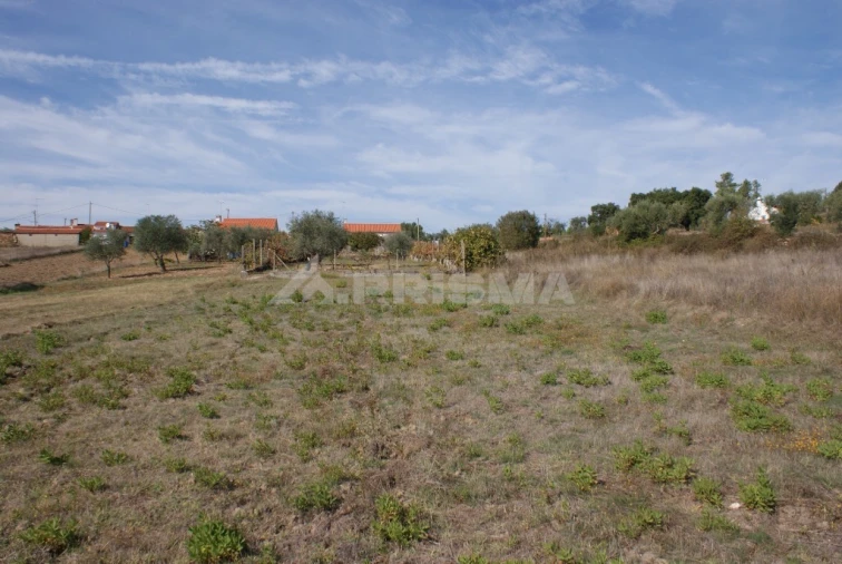 Moradia T3 para Venda em Sarzedas Foto 22