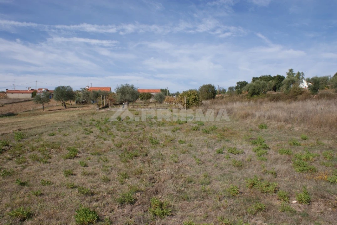 Moradia T3 para Venda em Sarzedas Foto 22