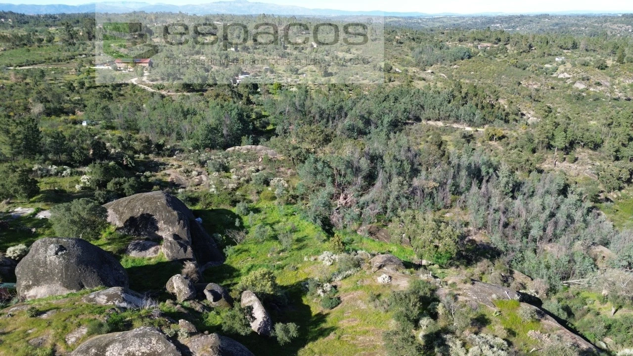 Terreno Agricola ou Rústico para Venda em Salgueiro do Campo Foto 1