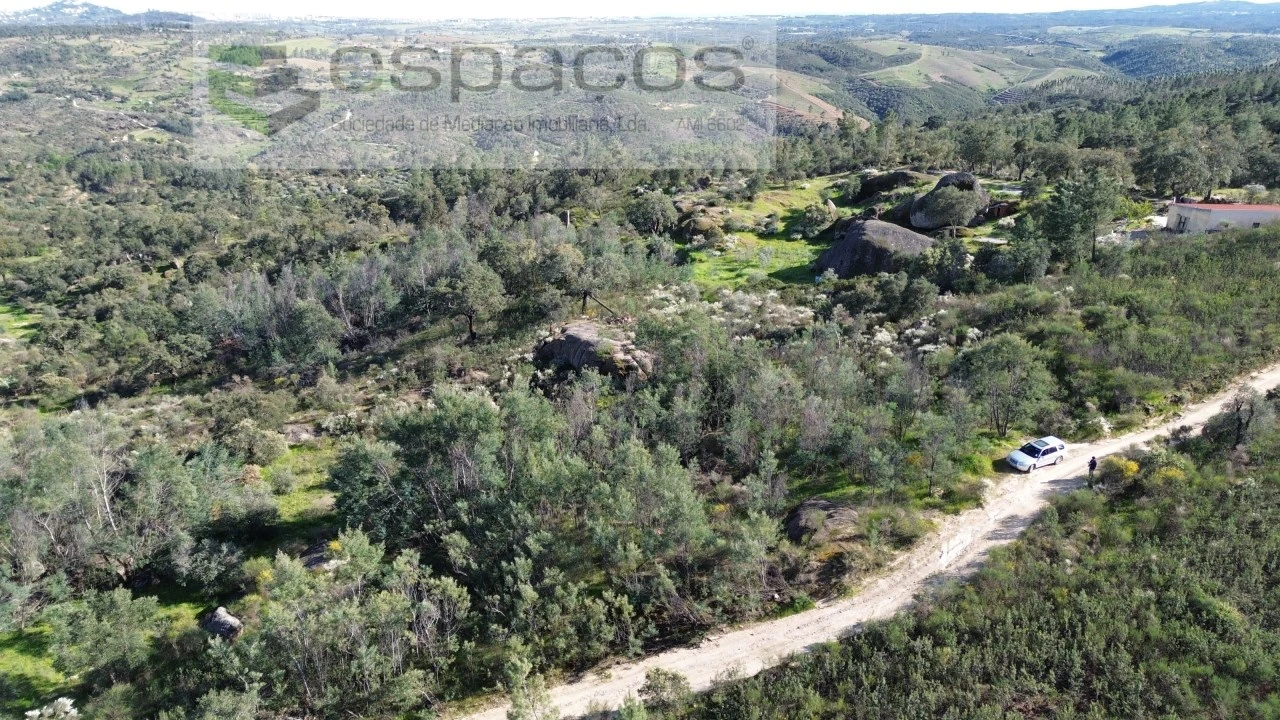 Terreno Agricola ou Rústico para Venda em Salgueiro do Campo Foto 2