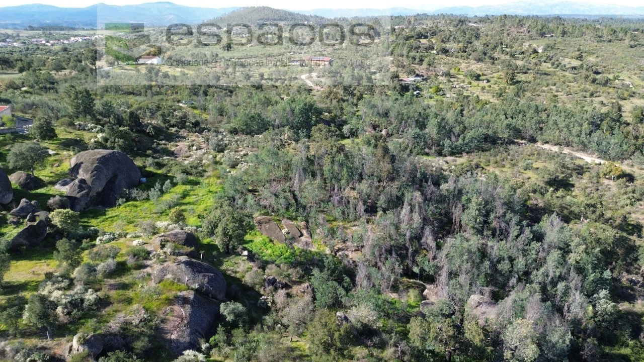 Terreno Agricola ou Rústico para Venda em Salgueiro do Campo Foto 3