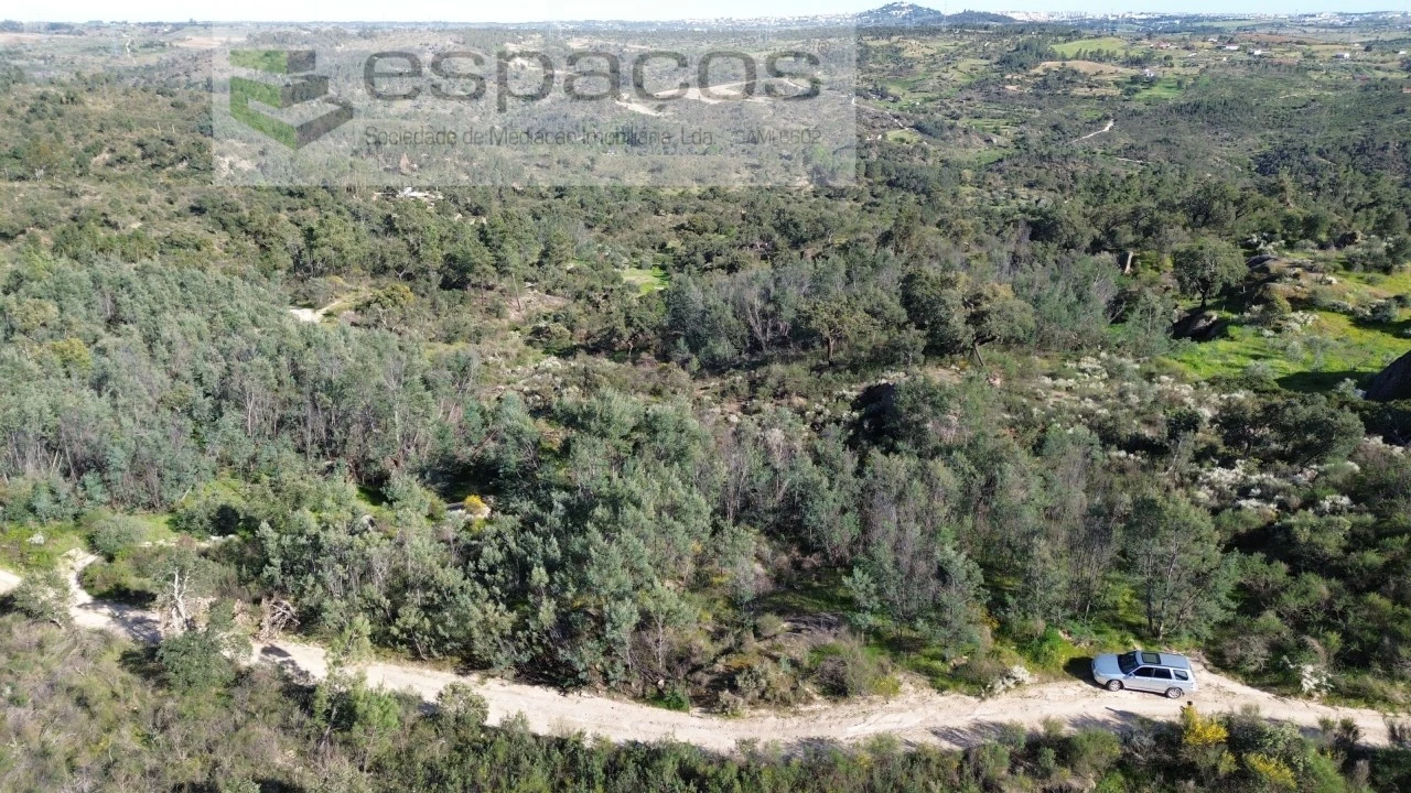 Terreno Agricola ou Rústico para Venda em Salgueiro do Campo Foto 5