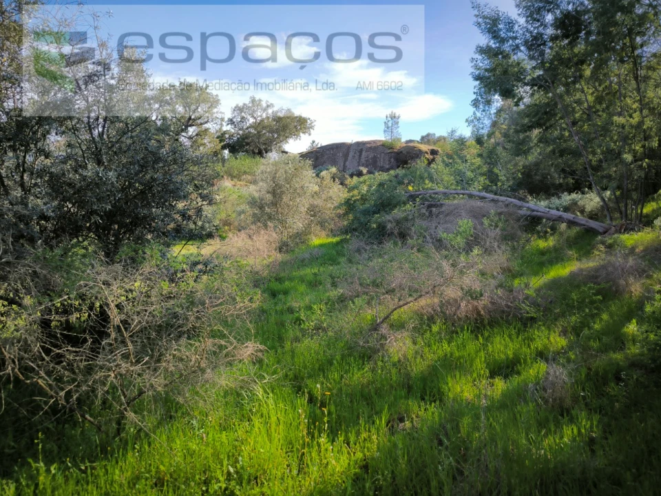 Terreno Agricola ou Rústico para Venda em Salgueiro do Campo Foto 10