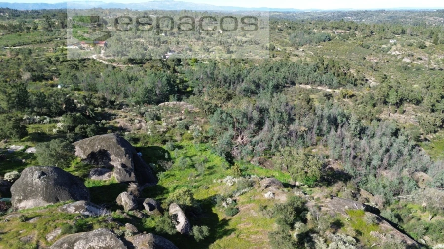 Terreno Agricola ou Rústico para Venda em Salgueiro do Campo Foto 1