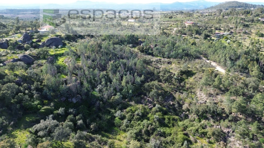 Terreno Agricola ou Rústico para Venda em Salgueiro do Campo Foto 4