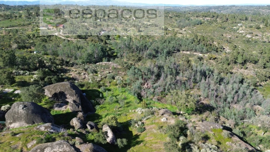 Terreno Agricola ou Rústico para Venda em Salgueiro do Campo