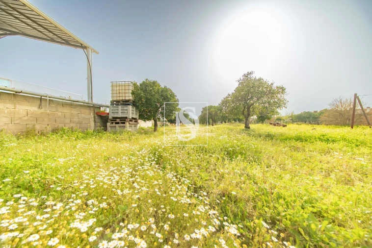Terreno para Venda em Riachos Foto 4