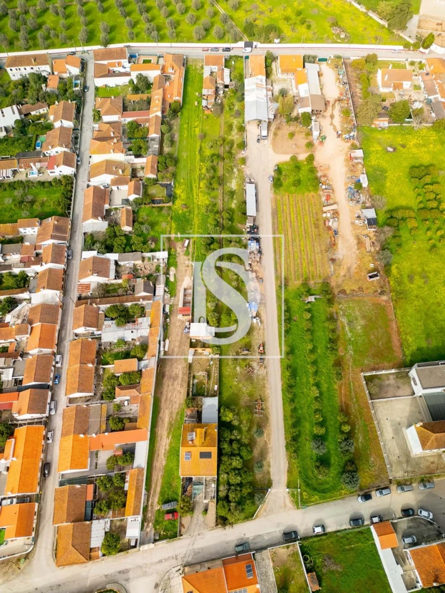 Terreno para Venda em Riachos Foto 15