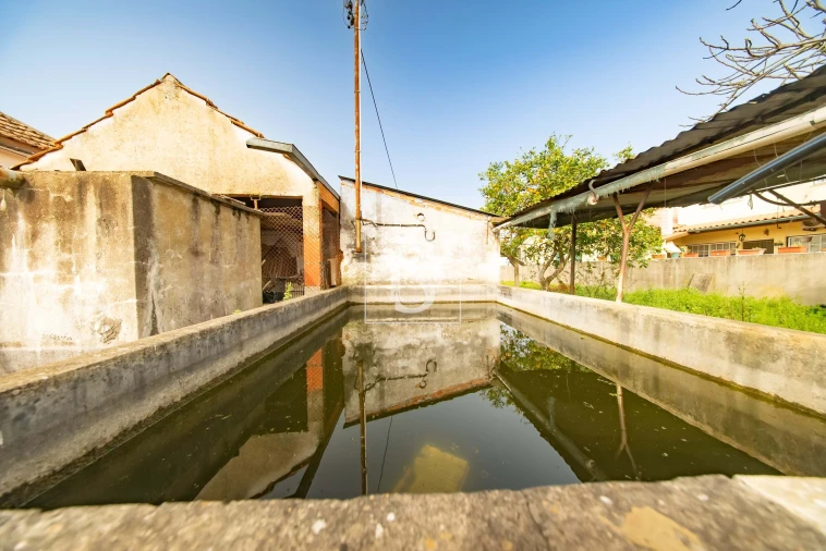 Terreno para Venda em Riachos Foto 2
