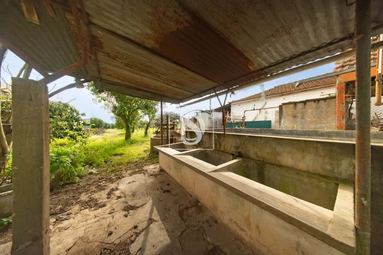 Terreno para Venda em Riachos Foto 8