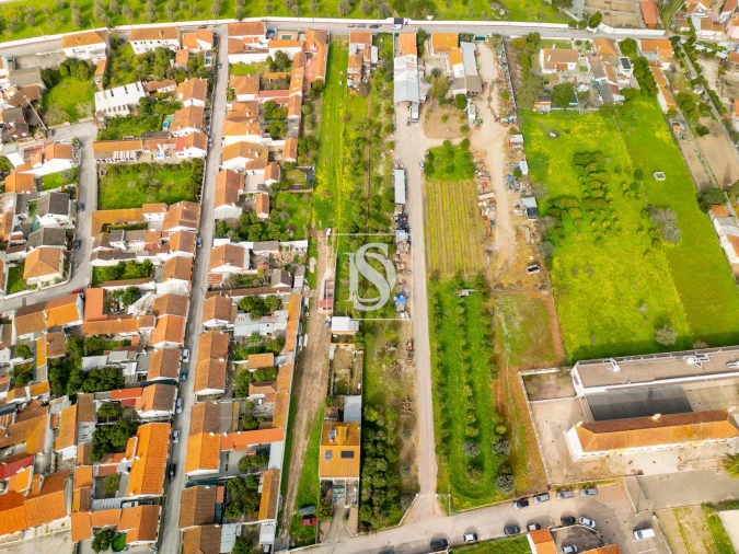 Terreno para Venda em Riachos Foto 14