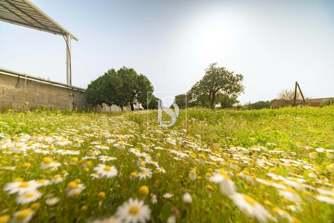 Terreno para Venda em Riachos Foto 3