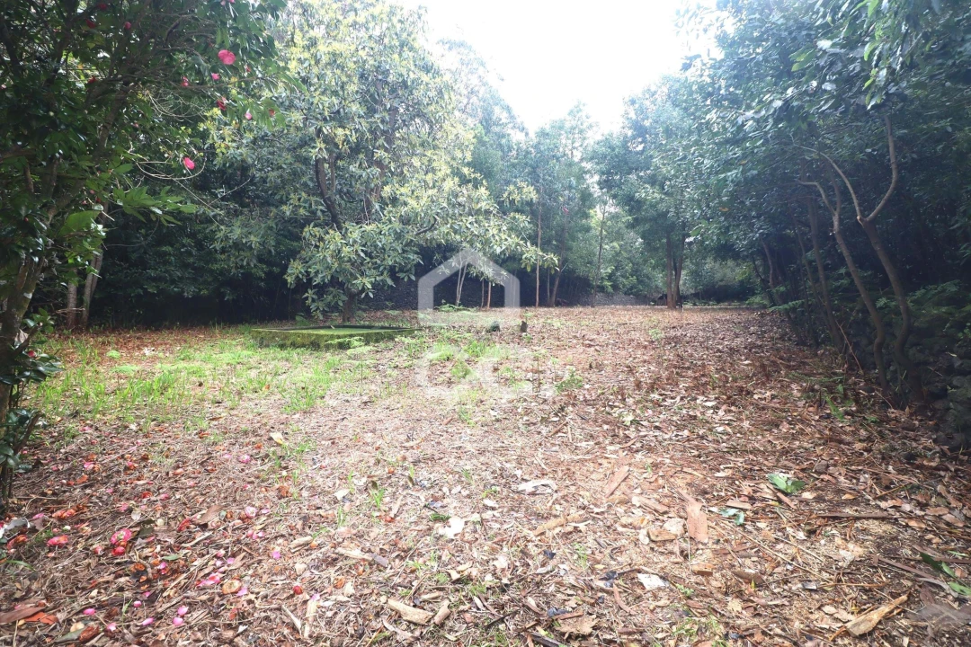 Terreno para Venda em Rabo de Peixe Foto 18