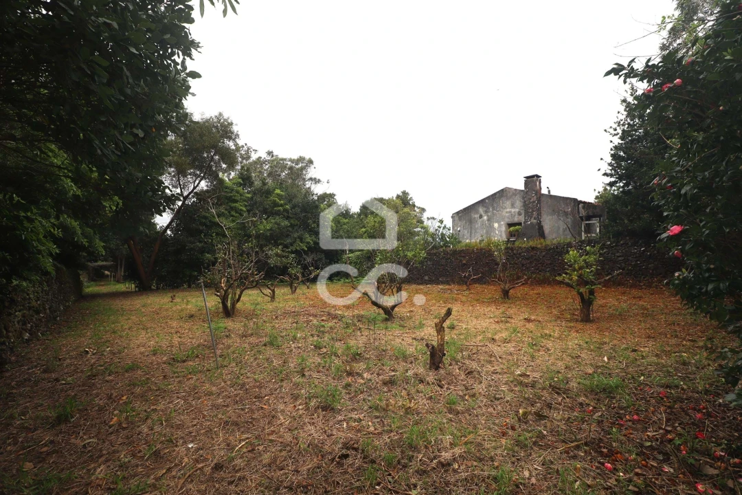 Terreno para Venda em Rabo de Peixe Foto 19