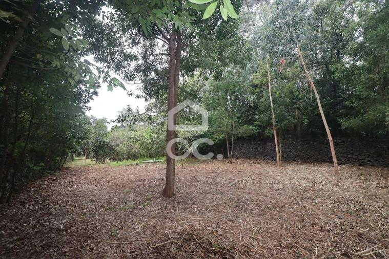 Terreno para Venda em Rabo de Peixe Foto 21