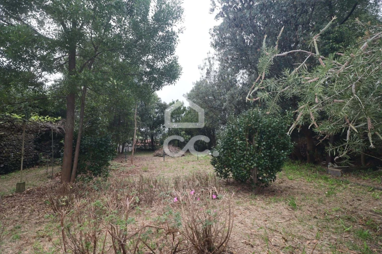 Terreno para Venda em Rabo de Peixe Foto 13