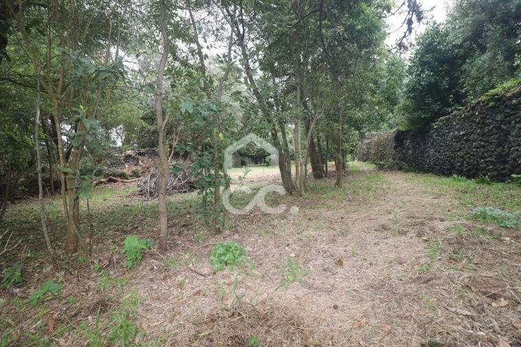 Terreno para Venda em Rabo de Peixe Foto 11