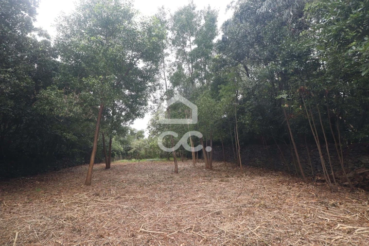 Terreno para Venda em Rabo de Peixe Foto 23