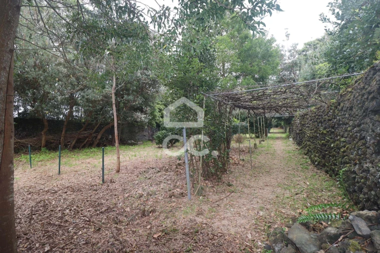 Terreno para Venda em Rabo de Peixe Foto 12