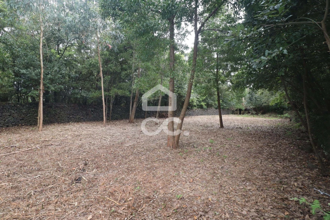 Terreno para Venda em Rabo de Peixe Foto 20